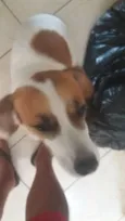 Lulu