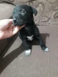 Baby