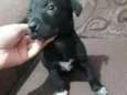 Baby