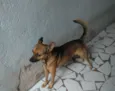 Bob