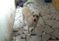 Lua