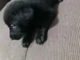 Baby