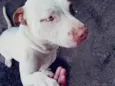 Billy