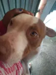 Billy