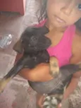 Não tem