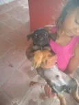 Não tem