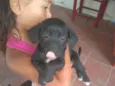 Não tem