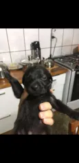 nome aindaindefinido