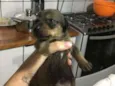 nome indefinido