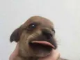 nome indefinido