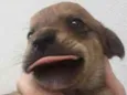 nome indefinido