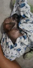 Não tem