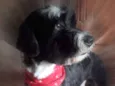 Tom