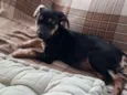 Kika