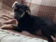 Kika