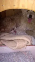Babys
