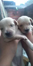 Babys