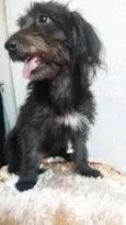 Belinha