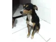 Belinha