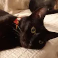 Rita