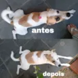 Manu