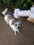 Manu