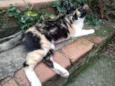 Mimi
