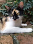 Mimi