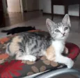 Vitória