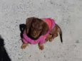 Valentina