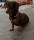 Valentina