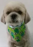 Duduzinho Pequeno