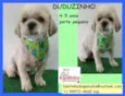 Duduzinho Pequeno