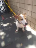 Bebê