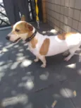 Bebê
