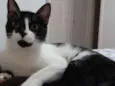 Nina
