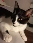 Nina
