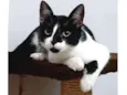 Nina