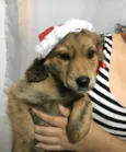 Não tem nome ainda!