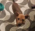 Julie