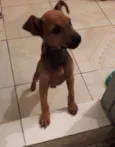 Julie