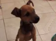 Julie