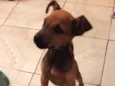 Julie