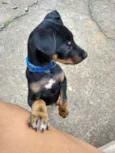 Paçoca