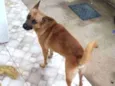 Espanto