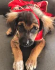 BABALOO