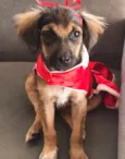 BABALOO