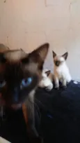 Ze / Luna/ fred