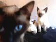 Ze / Luna/ fred