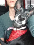 Menina